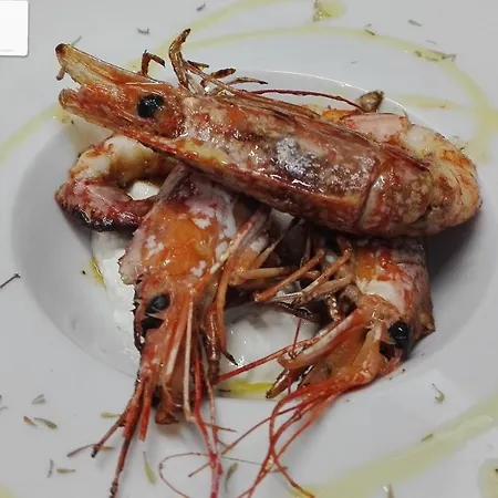 Flos Konukevi Lucera