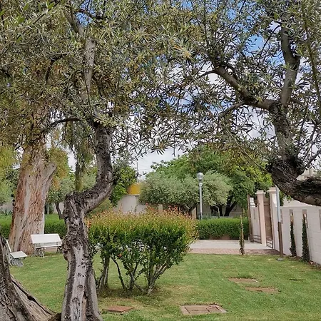 Guest house Flos