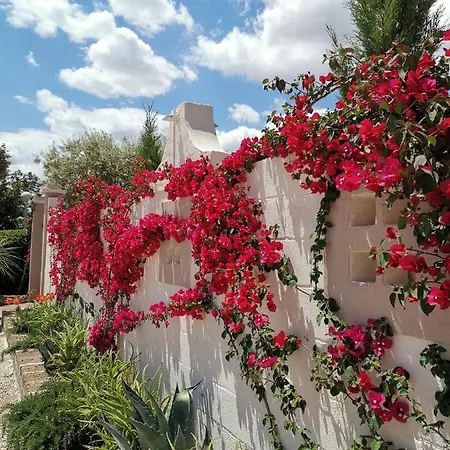 Flos 3* Лучера